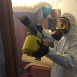 Уничтожение клопов в квартире. Стромынь